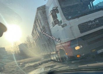 ДТП: фура со свиньями попала в аварию (ФОТО)