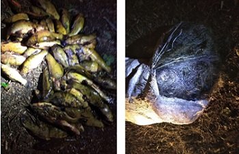 На Бритае задержали рыбных браконьеров