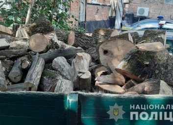 Черных лесорубов поймали на горячем (ФОТО)