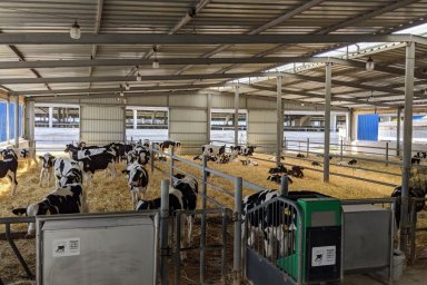 Алексей Кучер ознакомился с работой одного из крупнейших сельхозпредприятий области