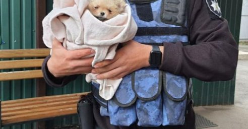 Харьковчане могут взять животных из городского приюта и оказать центру помощь