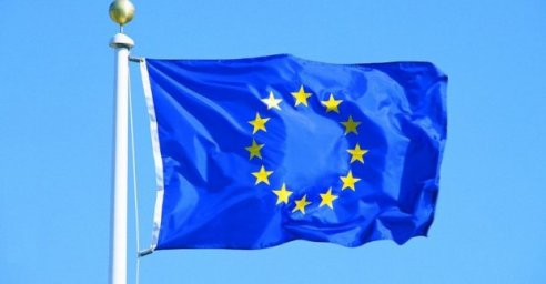 В горсовете обсудили с международными экспертами развитие прав детей и людей с инвалидностью