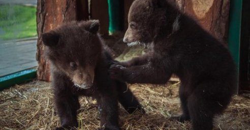 В зоопарке утеплили вольеры и сделали навесы на зиму