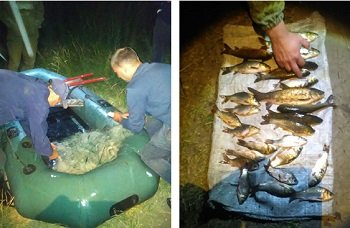 Звонок на Горячую линию помог поймать рыбного браконьера