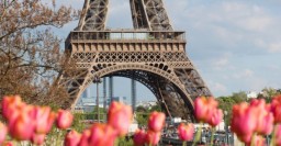 В городе пройдет фестиваль французских короткометражек