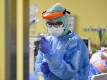 В ВОЗ определили происхождение коронавируса