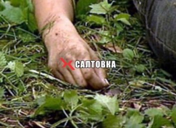 В Пятихатках нашли труп