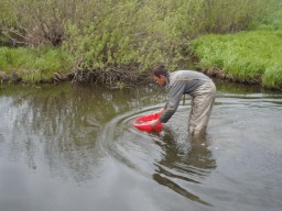 В водоемах Харьковской области нашли гепатит