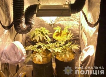 Харьковчанин обустроил наркотеплицу в квартире (ФОТО)