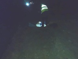 Под Харьковом Daewoo насмерть сбила девушку, водитель бросил авто и скрылся (ФОТО)