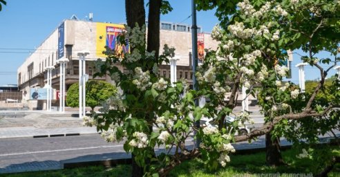 Завтра в Харькове - до 26 градусов тепла