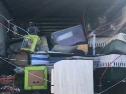 Полиция арестовала 61-летнюю женщину, которая держала 46 кошек и собаку в грузовике (ФОТО)