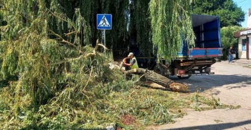  В Харькове продолжают устранять последствия непогоды 