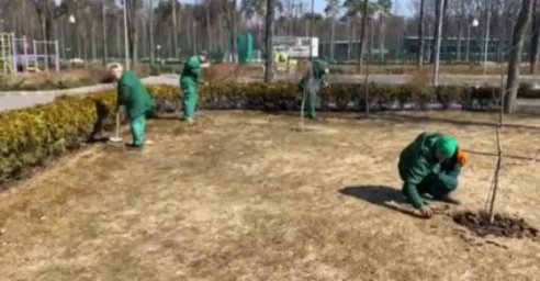 В парке Горького начинают готовить цветники и аллеи к открытию сезона