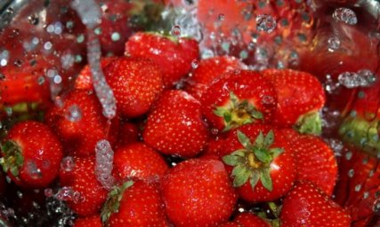  В Украине резко упали цены на клубнику 