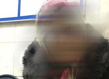 Жестоко избил, изнасиловал и ограбил старушку: копы ищут нелюдя - Нацполиция