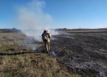 Борцы с сухостоем сожги жилой дом, разжигая до 1 тысячи серьезных пожаров в сутки