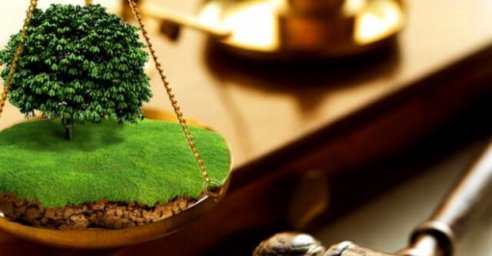 В бюджет города возмещают средства за незаконное использование земель