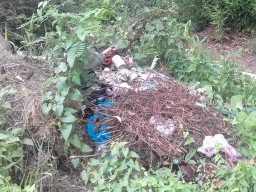 На берегу Дуная жители Вилково обнаружили стихийную свалку (ФОТО)