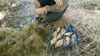 Задержан нарушитель с уловом краснокнижной рыбы