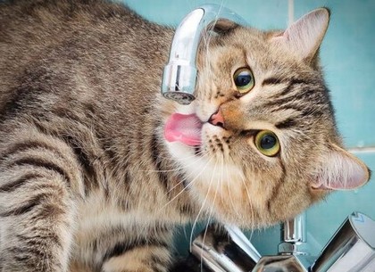 ?Холодную воду отключили в семи районах Харькова (Адреса)