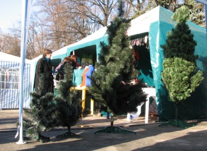 Названа дата начала рождественской ярмарки в Покровском сквере