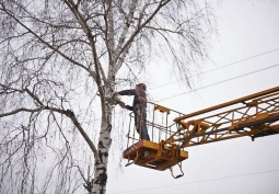 Трамваи №16, 16А и 26 изменят свои маршруты завтра, 24 декабря, с 11:30 до 12:30.