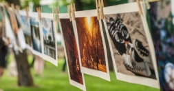 В саду Шевченко пройдет фото-проект &laquo;Сушка&raquo;