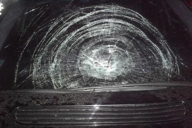 ДТП в Московском районе. Погиб пешеход.