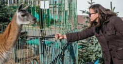 Харьковский зоопарк готовится к зиме