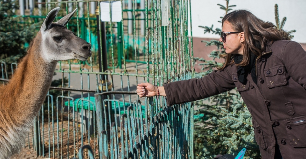 Харьковский зоопарк готовится к зиме
