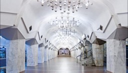 На станции "Исторический музей" женщина упала на рельсы