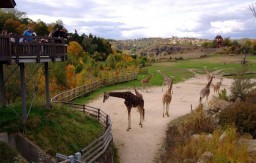 Большая реконструкция Харьковского зоопарка: искуственный снег, электропастух и стекло вместо решето