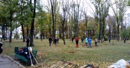 В Молодежном парке студенты провели субботник