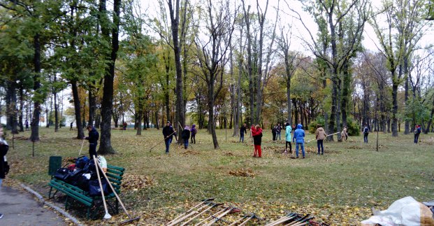 В Молодежном парке студенты провели субботник