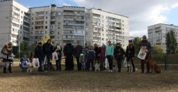 В Московском районе открыли площадку для выгула собак