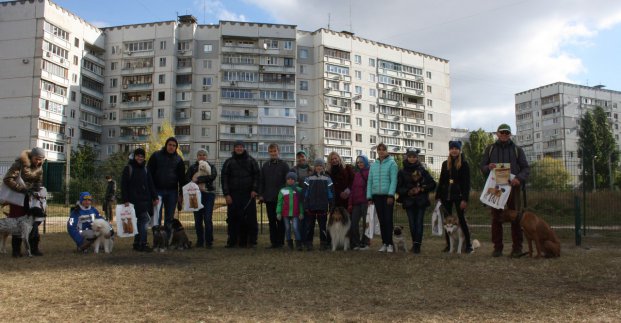 В Московском районе открыли площадку для выгула собак