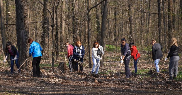 В Слободском районе привели в порядок улицы и скверы