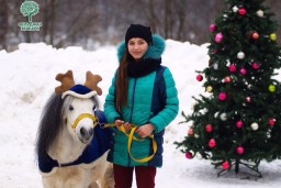 Новогодний вернисаж в Фельдман Экопарк