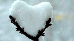 Непогода в Украине: в четырех областях ограничено движение, обесточенными остаются пять населенных п