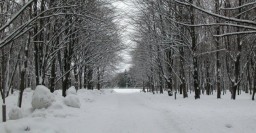 Завтра в Харькове &ndash; до 5 градусов мороза