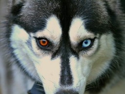 Смотри программу: на выходных в Харькове пройдет Winter Fest