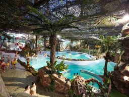 Специалисты проверили воду из аквапарка "Джунгли", где отравились дети