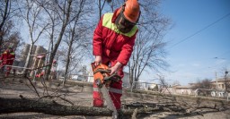 В городе проходит весеннее благоустройство дворов