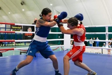 Харьковские боксеры завоевали золото и серебро на Кубке Украины