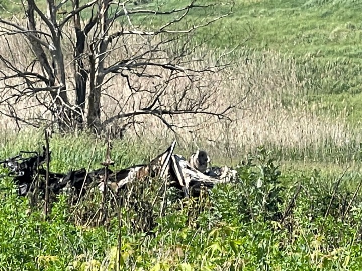 В Харьковской области автомобиль подорвался на взрывчатке: погибла женщина