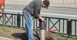 В Харькове внедряют новую технологию полива деревьев