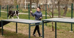 В городе начали ремонтировать площадки для выгула собак