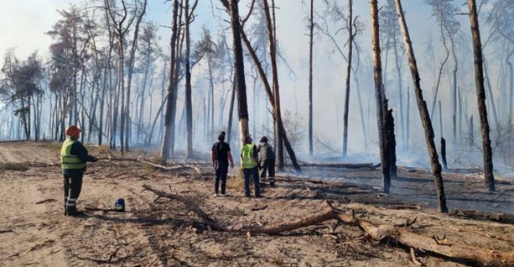 Игорь Терехов: Возле &laquo;Каравана&raquo; будет парк &ndash; и никаких застроек
