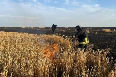 Обстріли Харківщини: один загиблий і троє поранених, пошкоджено будинки та знищено посіви &mdash; про ситуацію станом на 14 липня